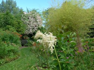 mt_Gallery:Garten der Orchideen, Elsass, F