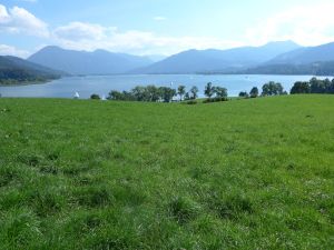 Blick über den Tegernsee, links der Wallberg