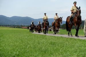 mt_gallery:Rosstag Rottach-Egern 2017