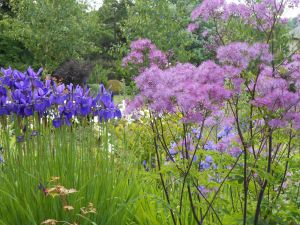 mt_Gallery:Hambledon House Garden, Hampshire, GB